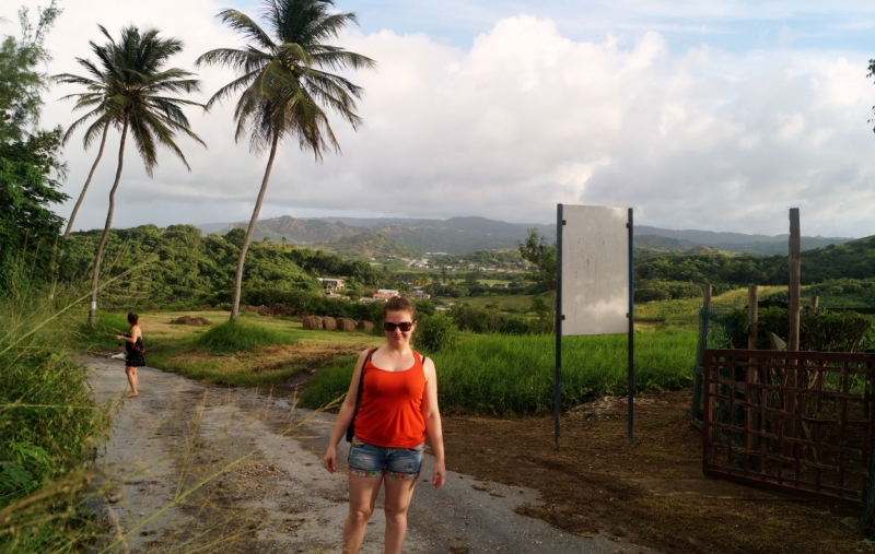 Перворазники на Карибах: круиз на P&O Ventura