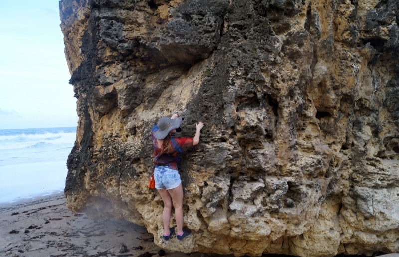 Перворазники на Карибах: круиз на P&O Ventura