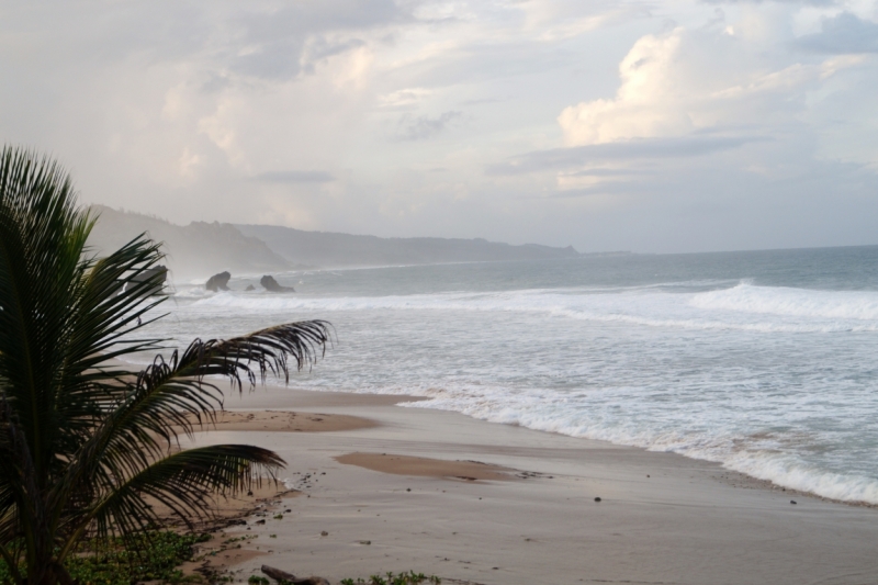 Перворазники на Карибах: круиз на P&O Ventura