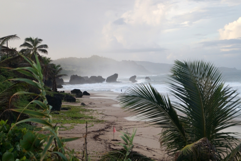 Перворазники на Карибах: круиз на P&O Ventura