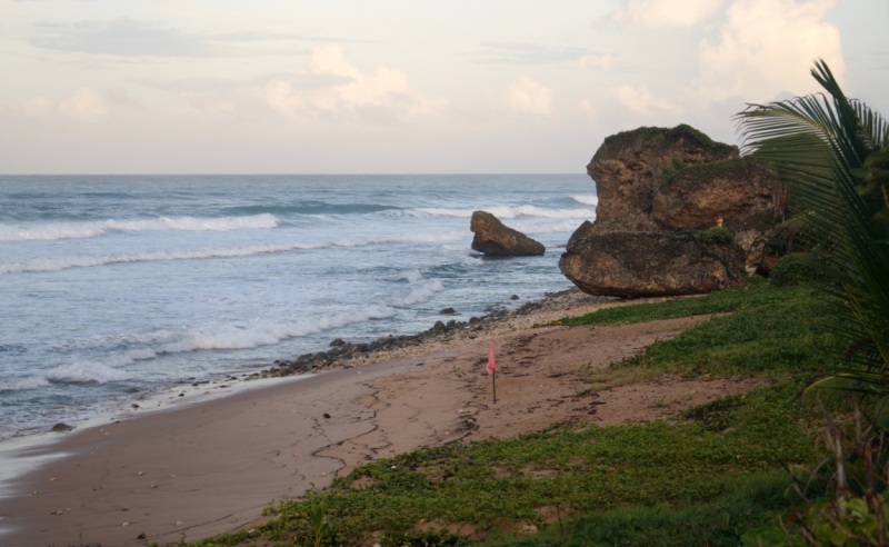 Перворазники на Карибах: круиз на P&O Ventura