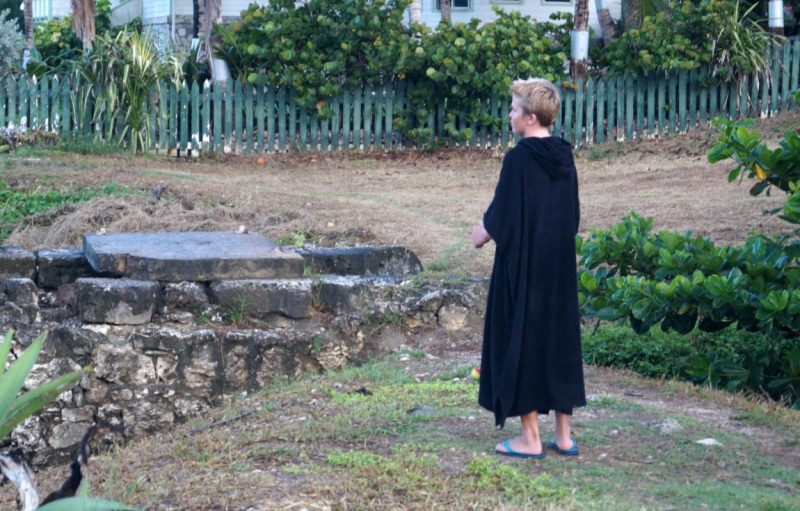 Перворазники на Карибах: круиз на P&O Ventura