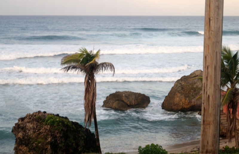 Перворазники на Карибах: круиз на P&O Ventura