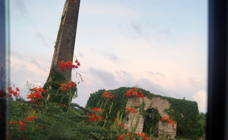 Перворазники на Карибах: круиз на P&O Ventura