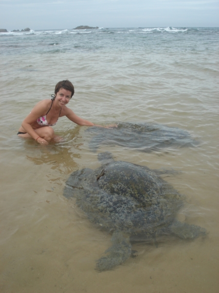 Шри Ланка "дикарями" в ноябре 2014 года.