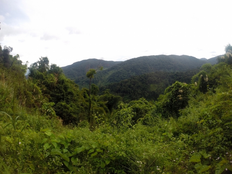 Наши открытия во Вьетнаме (будет много фото)