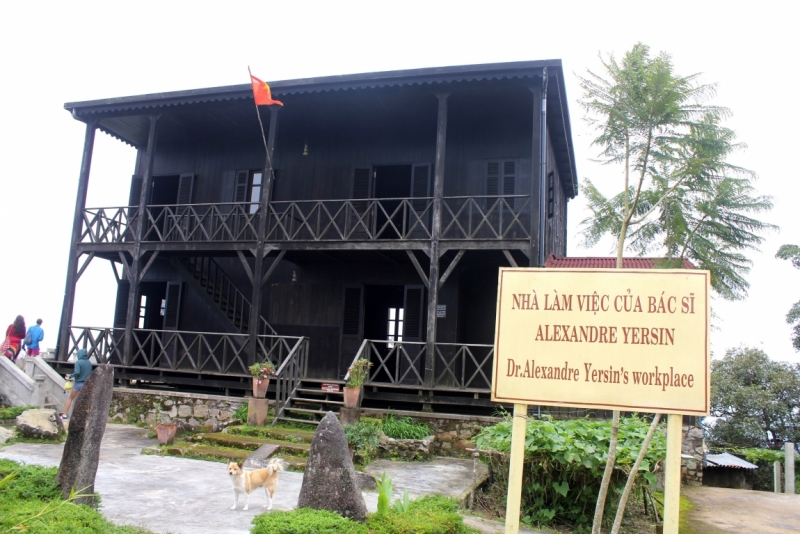 Наши открытия во Вьетнаме (будет много фото)