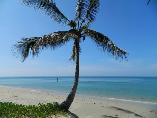 Бангкок - Ко Чанг - Сием Рип - Ко Чанг - Ко Куд - Бангкок Ноябрь 2014  (много фото)