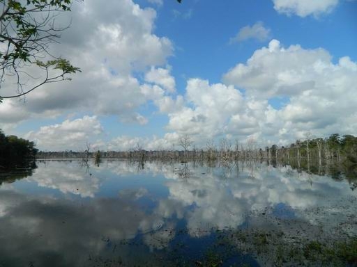 Бангкок - Ко Чанг - Сием Рип - Ко Чанг - Ко Куд - Бангкок Ноябрь 2014  (много фото)