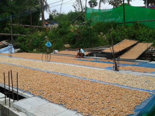 Бангкок - Ко Чанг - Сием Рип - Ко Чанг - Ко Куд - Бангкок Ноябрь 2014  (много фото)