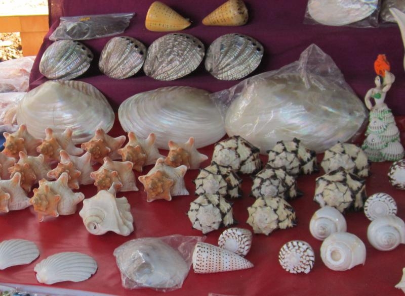 Индия (юг: Керала, Тамил наду)