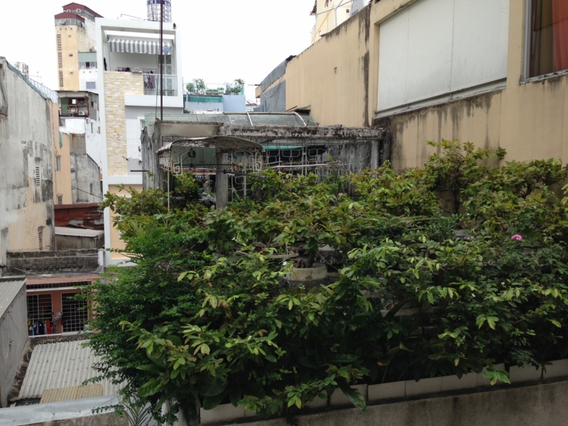 3 в 1.Хошимин/Далат/Начянг(июль 2014)