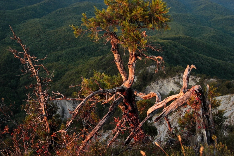 Черноморский Кавказ. Часть 2. Апрельский выход на Папай