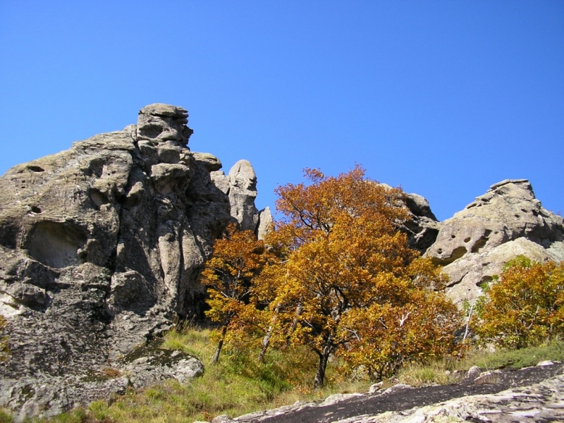 Черноморский Кавказ. На горе Индюк, в мечтах о Гималаях