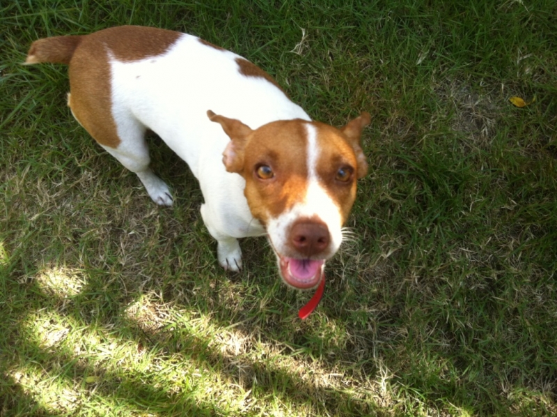 Цыганская семья. Или наша жизнь одновременно на два дома – в Хуа-Хине и на Самуи