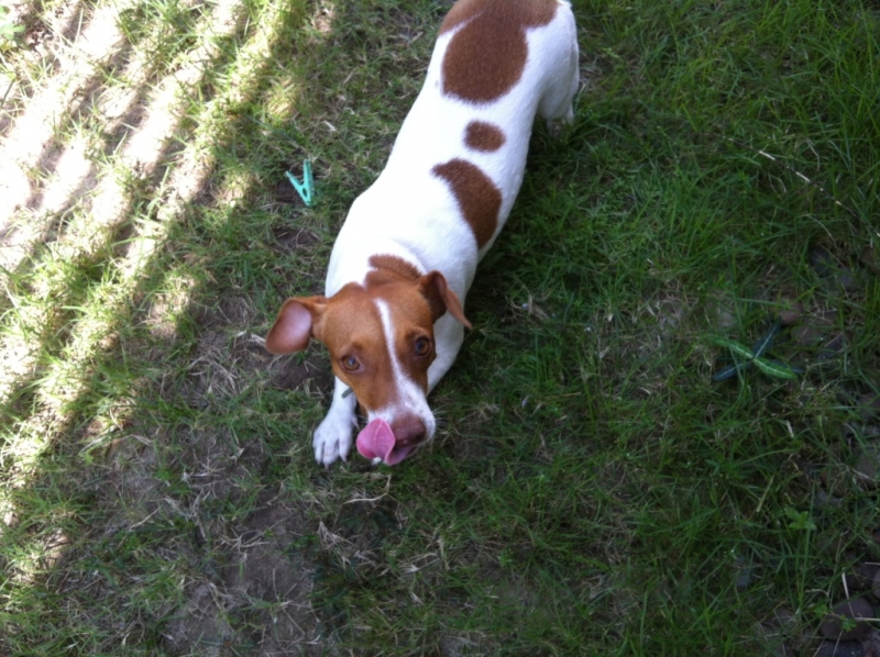 Цыганская семья. Или наша жизнь одновременно на два дома – в Хуа-Хине и на Самуи