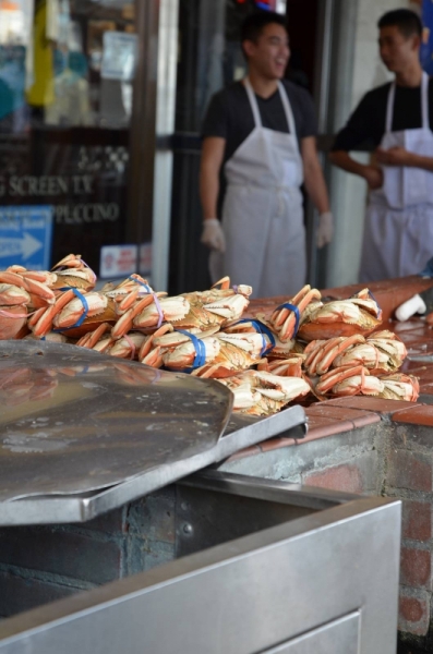 Сан-Франциско и Национальный парк Секвойя (путешествие с детворой)
