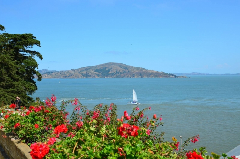 Сан-Франциско и Национальный парк Секвойя (путешествие с детворой)