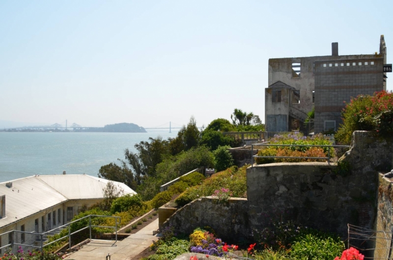 Сан-Франциско и Национальный парк Секвойя (путешествие с детворой)