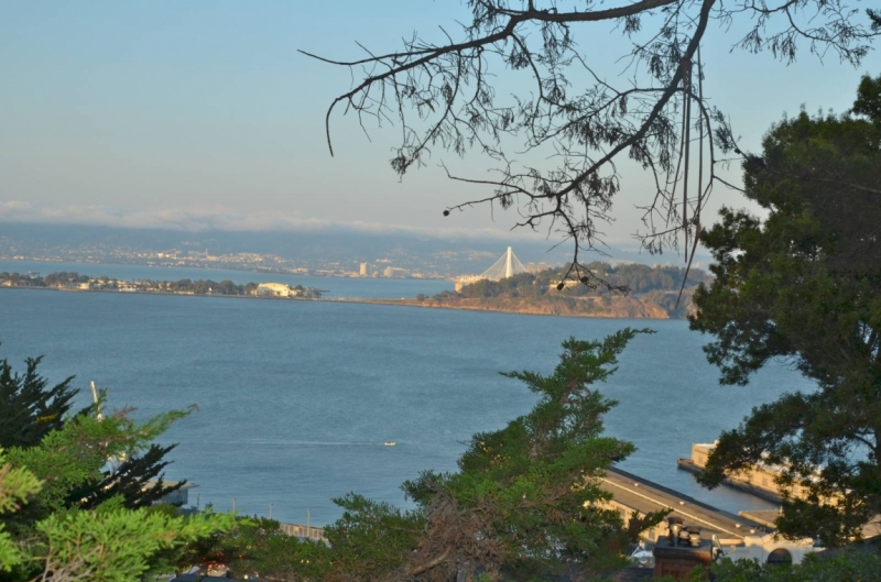 Сан-Франциско и Национальный парк Секвойя (путешествие с детворой)