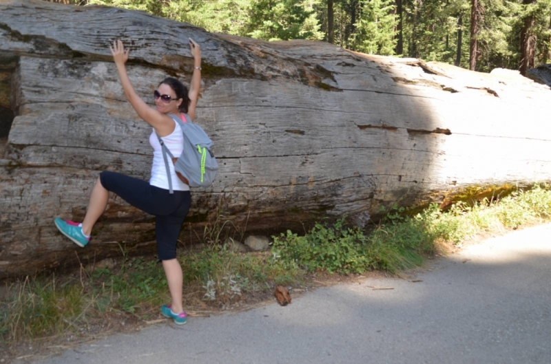 Сан-Франциско и Национальный парк Секвойя (путешествие с детворой)