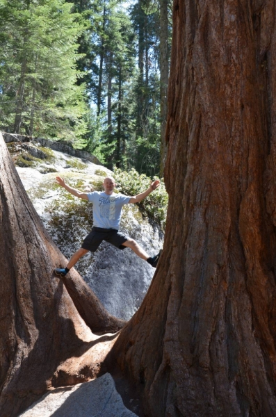 Сан-Франциско и Национальный парк Секвойя (путешествие с детворой)
