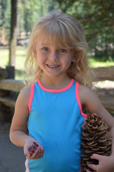 Сан-Франциско и Национальный парк Секвойя (путешествие с детворой)