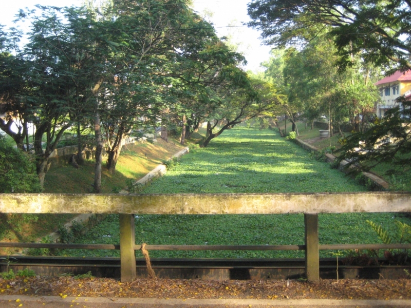 Different India.Колаба мумбайская, Алаппужа керальская