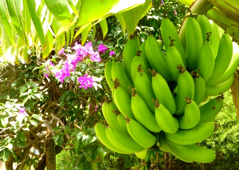 Как я купил мотоцикл в Бриджпорте, и проехал на нём по Америке.