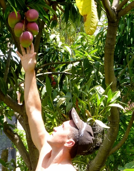 Как я купил мотоцикл в Бриджпорте, и проехал на нём по Америке.