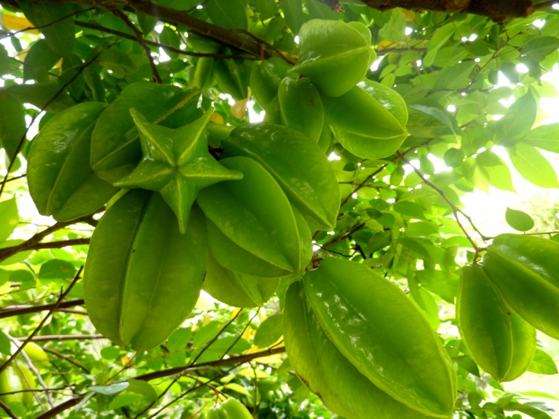 Как я купил мотоцикл в Бриджпорте, и проехал на нём по Америке.