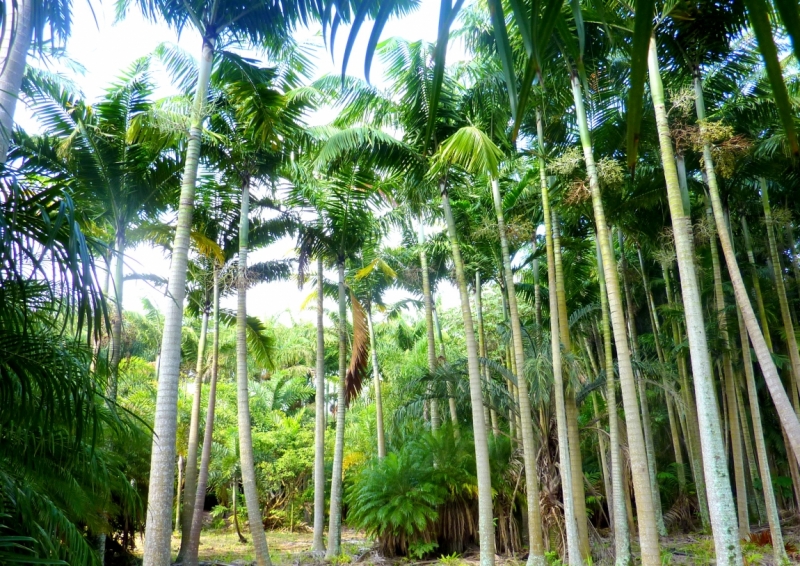 Как я купил мотоцикл в Бриджпорте, и проехал на нём по Америке.