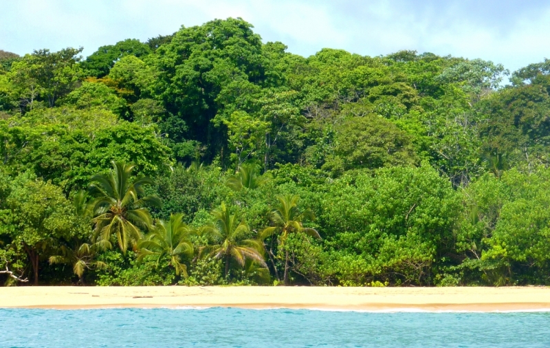 Как я купил мотоцикл в Бриджпорте, и проехал на нём по Америке.