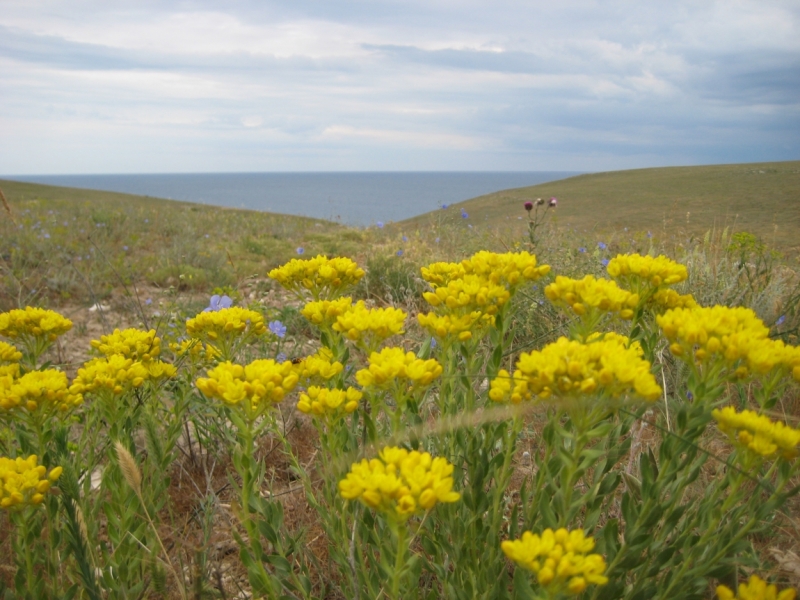 Крым необыкновенный 2013.С запада -на восток