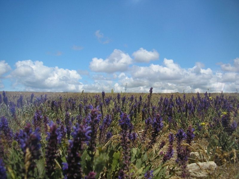 Крым необыкновенный 2013.С запада -на восток