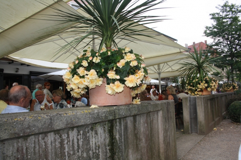 Сегодня Бад Киссинген, завтра Нюрнберг, послезавтра Ротенбург...