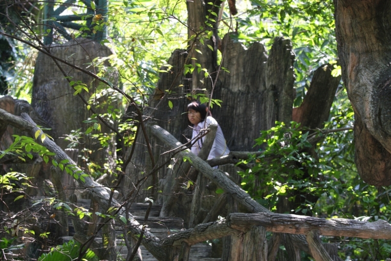 Khao Kheow Open Zoo или звери как люди.