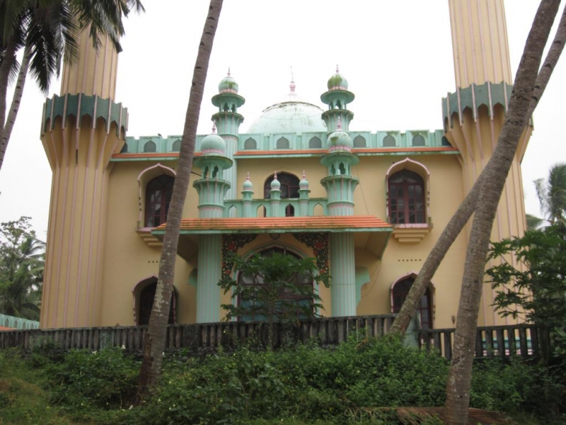 Индия (юг: Керала, Тамил наду)