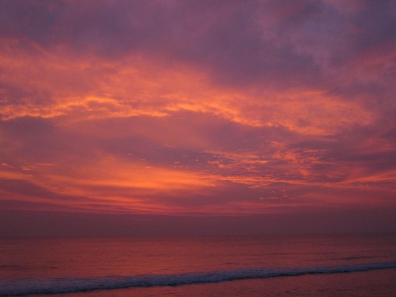 Индия (юг: Керала, Тамил наду)