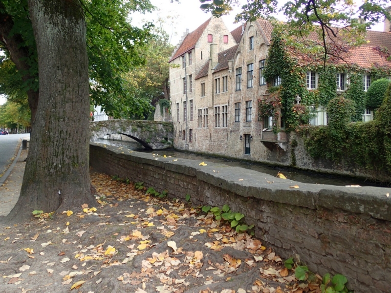 Европейская прелюдия осени в обнимку с фотоаппаратом!