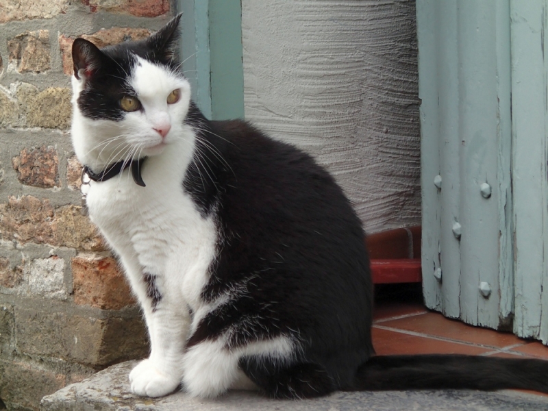 Европейская прелюдия осени в обнимку с фотоаппаратом!