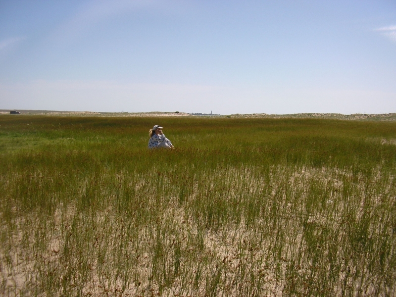 Крым необыкновенный 2013.С запада -на восток