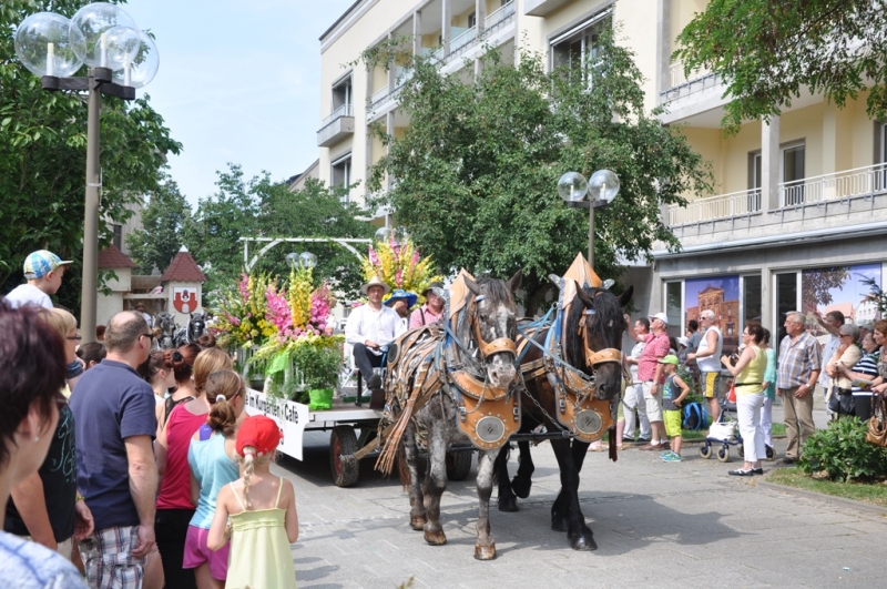 Сегодня Бад Киссинген, завтра Нюрнберг, послезавтра Ротенбург...