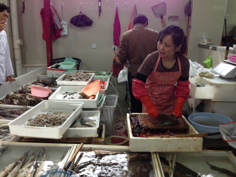 Октябрь 2014: Beijing–Datong–Xi’an–Chengdu–Emei/Leshan–Chongqing–Shanghai–Panjin-Beijin