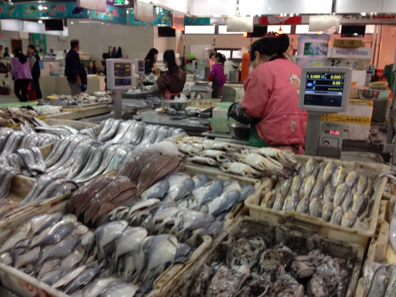 Октябрь 2014: Beijing–Datong–Xi’an–Chengdu–Emei/Leshan–Chongqing–Shanghai–Panjin-Beijin