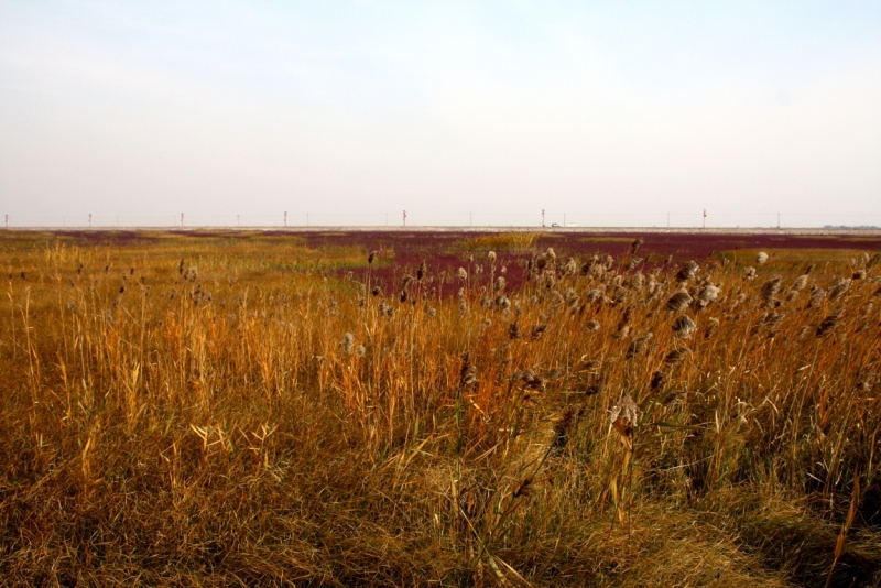 Октябрь 2014: Beijing–Datong–Xi’an–Chengdu–Emei/Leshan–Chongqing–Shanghai–Panjin-Beijin