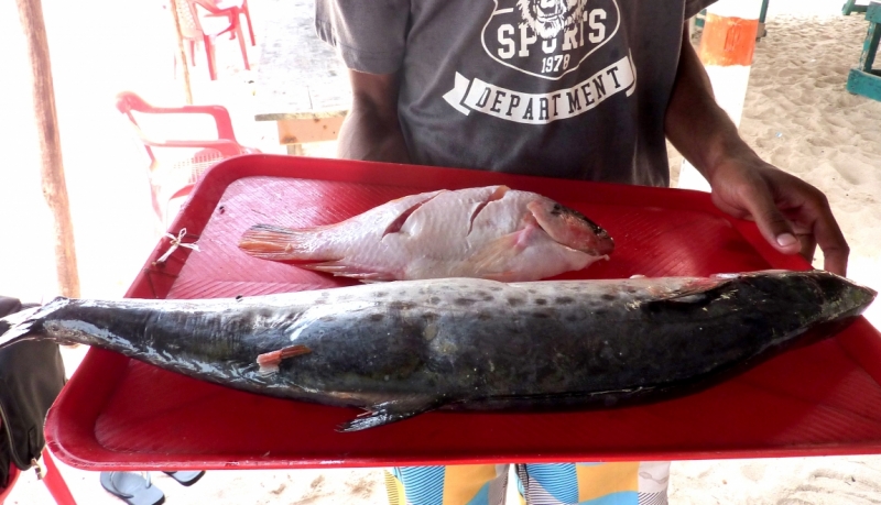 Как я купил мотоцикл в Бриджпорте, и проехал на нём по Америке.