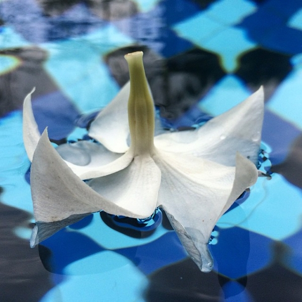 Цыганская семья. Или наша жизнь одновременно на два дома – в Хуа-Хине и на Самуи