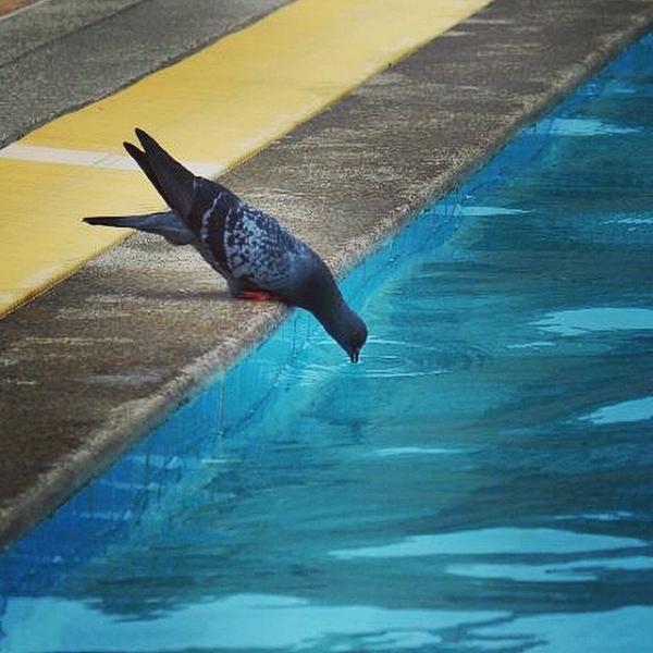 Цыганская семья. Или наша жизнь одновременно на два дома – в Хуа-Хине и на Самуи