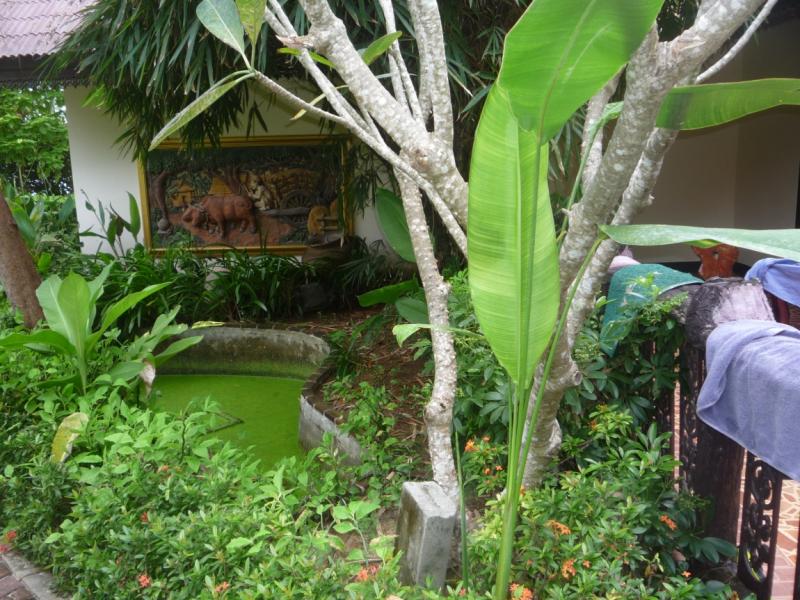 Phi-Phi: Paradise Pearl Bungalow